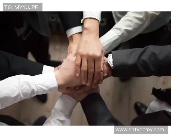 杭州排球队阵地战解析：战术创新与团队协作的完美结合